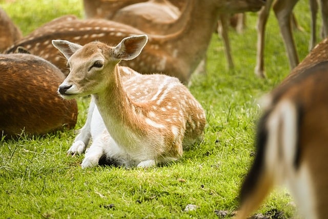 relaxing environment